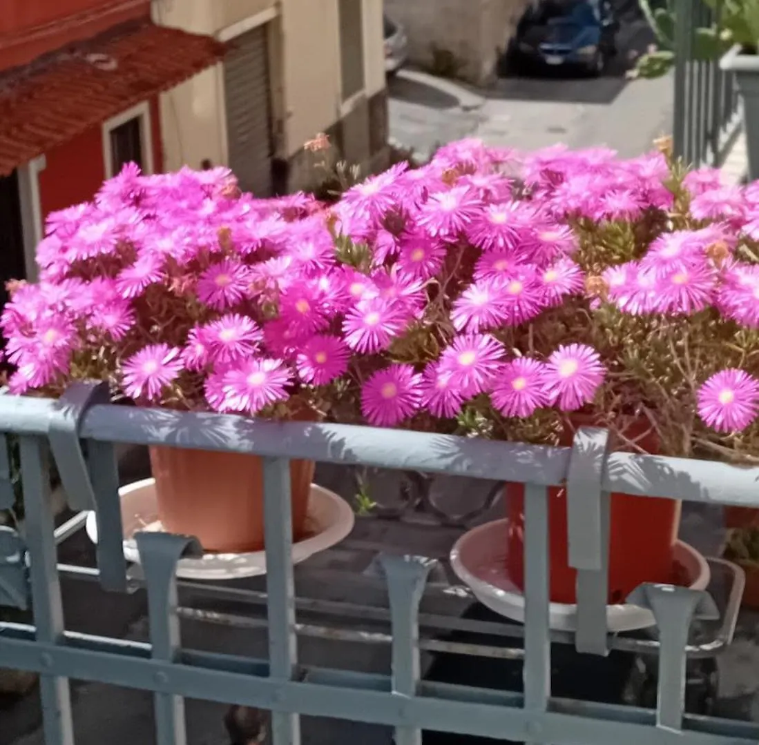 Apartamento La Casuzza Di Tindaro Catania